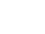 Christmas garden