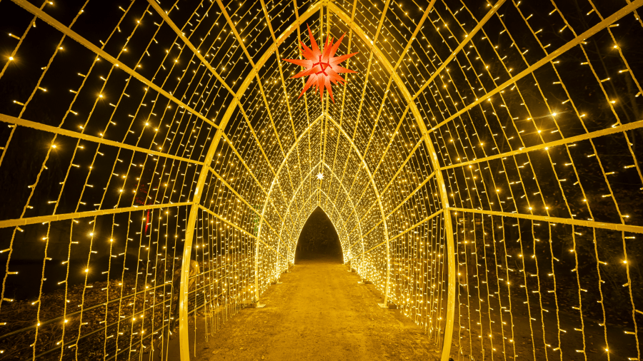 Lumieres en Siene