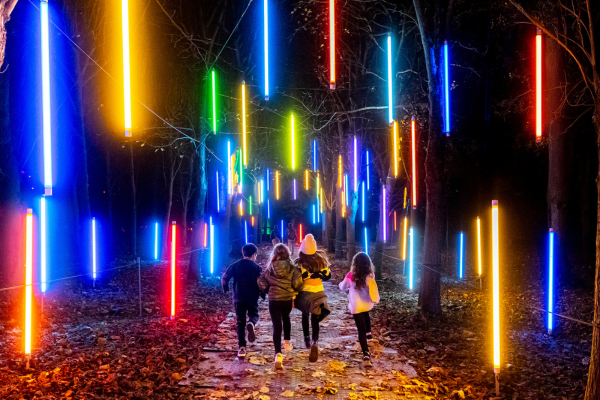 Lumières en Seine