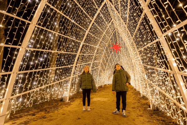 Lumières en Seine