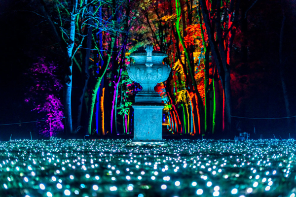 Lumières en Seine