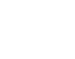 Christmas garden