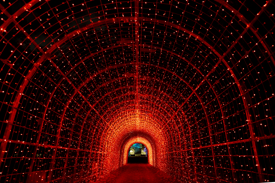 Lumieres en Seine
