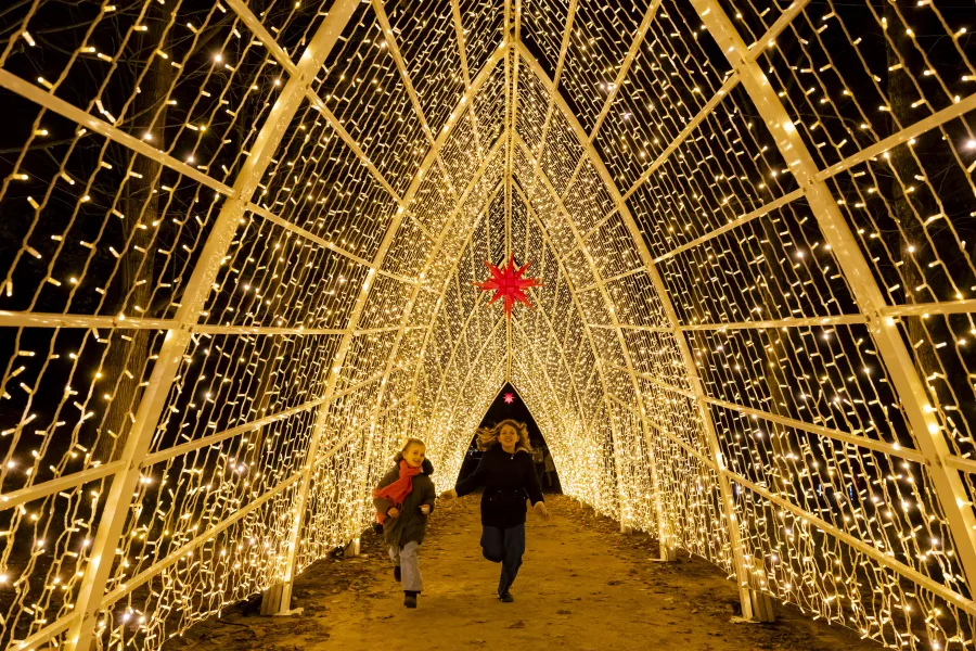 Lumieres en Seine