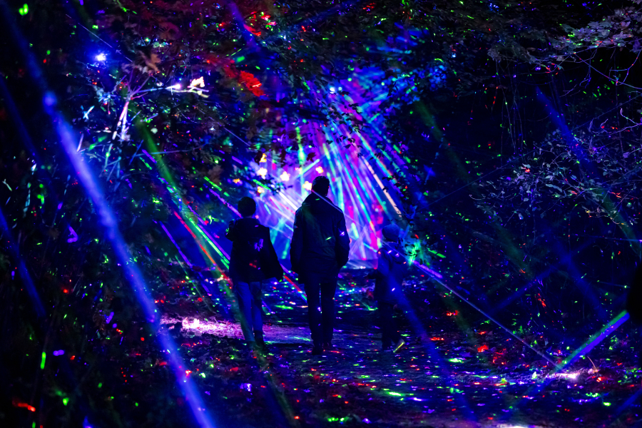 Lumières en Seine